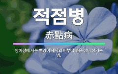 🌟적점병: 양어장에 사는 뱀장어 새끼의 피부에 붉은 점이 생기는 병. - 표준국어대사전