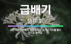 🌟급배기: 내연 기관 따위에서, 쓸모없게 된 증기나 가스를 빨리 밖으로 뽑아냄. - 표준국어대사전