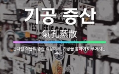 🌟기공 증산: 관다발 식물의 증산 작용에서, 기공을 통하여 이루어지는 증산. - 표준국어대사전