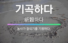 🌟기곡하다: 농사가 잘되기를 기원하다. - 표준국어대사전