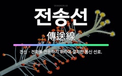 🌟전송선: 전신ㆍ전화를 전송하기 위하여 설치한 통신 선로. - 표준국어대사전