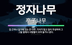 🌟정자나무: 집 근처나 길가에 있는 큰 나무. 가지가 많고 잎이 무성하여 그 그늘 밑에서 사람들이 모여 놀... - 표준국어대사전