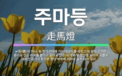🌟주마등: 무엇이 언뜻언뜻 빨리 지나감을 비유적으로 이르는 말., 등(燈)의 하나. 등 한가운데에 가는 대... - 표준국어대사전