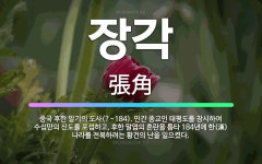 🌟장각: 중국 후한 말기의 도사(?~184). 민간 종교인 태평도를 창시하여 수십만의 신도를 포섭하고, 후... - 표준국어대사전