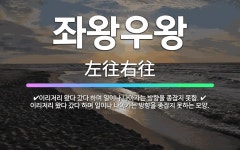 🌟좌왕우왕: 이리저리 왔다 갔다 하며 일이나 나아가는 방향을 종잡지 못함., 이리저리 왔다 갔다 하며 일이... - 표준국어대사전