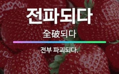 🌟전파되다: 전부 파괴되다. - 표준국어대사전