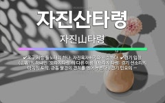🌟자진산타령: 경기 입창(立唱)의 하나인 ‘도라지타령’의 다른 이름. (도라지 타령: 경기 선소리의 마지막... - 표준국어대사전