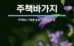 🌟주책바가지: 주책없는 사람을 놀림조로 이르는 말. - 표준국어대사전