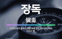 🌟장독: 내장에 독이 쌓여서 대변 후에 검은 자주색의 피가 나오는 병. - 표준국어대사전