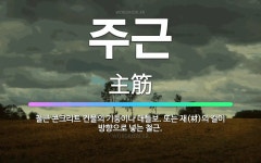 🌟주근: 철근 콘크리트 건물의 기둥이나 대들보. 또는 재(材)의 길이 방향으로 넣는 철근. - 표준국어대사전