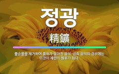 🌟정광: 불순물을 제거하여 품위가 높아진 광석. 금속 광석의 경우에는 이것이 제련의 원료가 된다. - 표준국어대사전