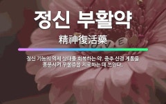 🌟정신 부활약: 정신 기능의 억제 상태를 회복하는 약. 중추 신경 계통을 흥분시켜 우울증을 치료하는 데 쓰인다. - 표준국어대사전