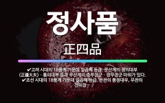 🌟정사품: 조선 시대의 18품계 가운데 일곱째 등급. 문관의 봉정대부, 무관의 진위장군, 종친의 선휘대부 ... - 표준국어대사전