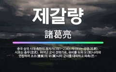 🌟제갈량: 중국 삼국 시대 촉한의 정치가(181~234). 자(字)는 공명(孔明). 시호는 충무(忠武). ... - 표준국어대사전