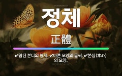 🌟정체: 바른 모양의 글씨., 참된 본디의 형체., 본심(本心)의 모양. - 표준국어대사전