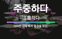 🌟주중하다: 어떠한 것에 특히 중점을 두다. - 표준국어대사전