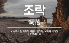 🌟조락: 차차 쇠하여 보잘것없이 됨., 초목의 잎 따위가 시들어 떨어짐. - 표준국어대사전
