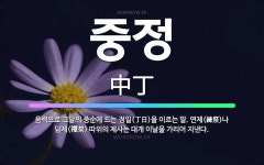 🌟중정: 음력으로 그달의 중순에 드는 정일(丁日)을 이르는 말. 연제(練祭)나 담제(禫祭) 따위의 제사는 ... - 표준국어대사전