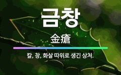 🌟금창: 칼, 창, 화살 따위로 생긴 상처. - 표준국어대사전
