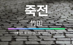 🌟죽전: 대를 심은 밭. 또는 대가 많이 자라고 있는 땅. - 표준국어대사전