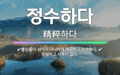 🌟정수하다: 불순물이 섞이지 아니하여 깨끗하고 순수하다., 청렴하고 사욕이 없다. - 표준국어대사전