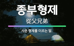 🌟종부형제: 사촌 형제를 이르는 말. - 표준국어대사전