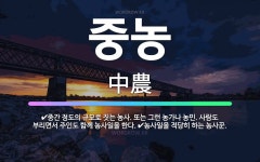 🌟중농: 농사일을 적당히 하는 농사꾼., 중간 정도의 규모로 짓는 농사. 또는 그런 농가나 농민. 사람도 ... - 표준국어대사전