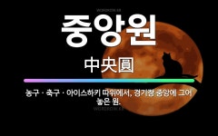 🌟중앙원: 농구ㆍ축구ㆍ아이스하키 따위에서, 경기장 중앙에 그어 놓은 원. - 표준국어대사전