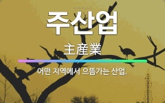 🌟주산업: 어떤 지역에서 으뜸가는 산업. - 표준국어대사전