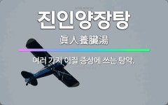 🌟진인양장탕: 여러 가지 이질 증상에 쓰는 탕약. - 표준국어대사전