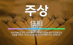 🌟주상: 사상(四相)의 하나. 만유(萬有)가 현재의 상태로 잠시 안주해 있는 모습을 이른다. 각각의 과(果... - 표준국어대사전