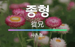 🌟종형: 사촌 형. - 표준국어대사전