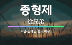 🌟종형제: 사촌 관계인 형과 아우. - 표준국어대사전