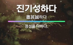🌟진기성하다: 정성을 다하다. - 표준국어대사전