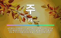 이경주식회사 | 🌟주: ‘주식’의 뜻을 나타내는 말., ‘주식회사’의 뜻을 나타내는 말. (주식회사: 주식의 발행을 통하여... - 표준국어대사전