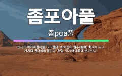 🌟좀포아풀: 볏과의 여러해살이풀. 5~7월에 녹색 꽃이 원추(圓錐) 화서로 피고 가지에 잔이삭이 달린다. ... - 표준국어대사전