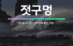 🌟젓구멍: 저(笛)와 같은 관악기에 뚫린 구멍. - 표준국어대사전