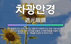 🌟차광안경: 빛 때문에 눈이 시거나 부시는 것을 막기 위하여 쓰는 안경. 주로 유리에 여러 가지 물질을 섞... - 표준국어대사전
