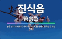 🌟진식읍: 봉읍 안의 과호(課戶)가 바치는 조(租)를 실제로 취득할 수 있는 식봉. - 표준국어대사전