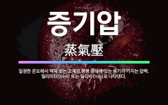 🌟증기압: 일정한 온도에서 액체 또는 고체와 평형 상태에 있는 증기가 가지는 압력. 밀리미터(mm) 또는 ... - 표준국어대사전