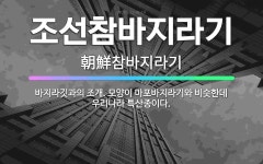 🌟조선참바지라기: 바지라깃과의 조개. 모양이 마포바지라기와 비슷한데 우리나라 특산종이다. - 표준국어대사전