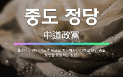 🌟중도 정당: 보수나 급진의 어느 한쪽으로 치우치지 아니하고 온건 중도 노선을 표방하는 정당. - 표준국어대사전