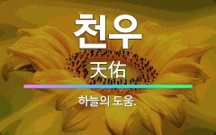 🌟천우: 하늘의 도움. - 표준국어대사전
