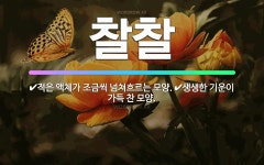 🌟찰찰: 생생한 기운이 가득 찬 모양., 적은 액체가 조금씩 넘쳐흐르는 모양. - 표준국어대사전