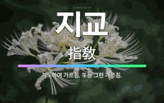 🌟지교: 지도하여 가르침. 또는 그런 가르침. - 표준국어대사전