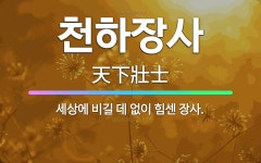 🌟천하장사: 세상에 비길 데 없이 힘센 장사. - 표준국어대사전