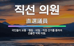 🌟직선 의원: 국민들이 보통ㆍ평등ㆍ비밀ㆍ직접 선거를 통하여 선출한 국회 의원. - 표준국어대사전