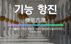 🌟기능 항진: 장기(臟器)나 맥관 계통의 기능이 정상보다 높아지거나 강화된 상태. - 표준국어대사전