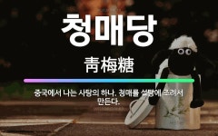 🌟청매당: 중국에서 나는 사탕의 하나. 청매를 설탕에 조려서 만든다. - 표준국어대사전