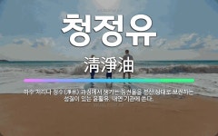 🌟청정유: 하수 처리나 정수(淨水) 과정에서 생기는 침전물을 분산 상태로 보전하는 성질이 있는 윤활유. 내... - 표준국어대사전